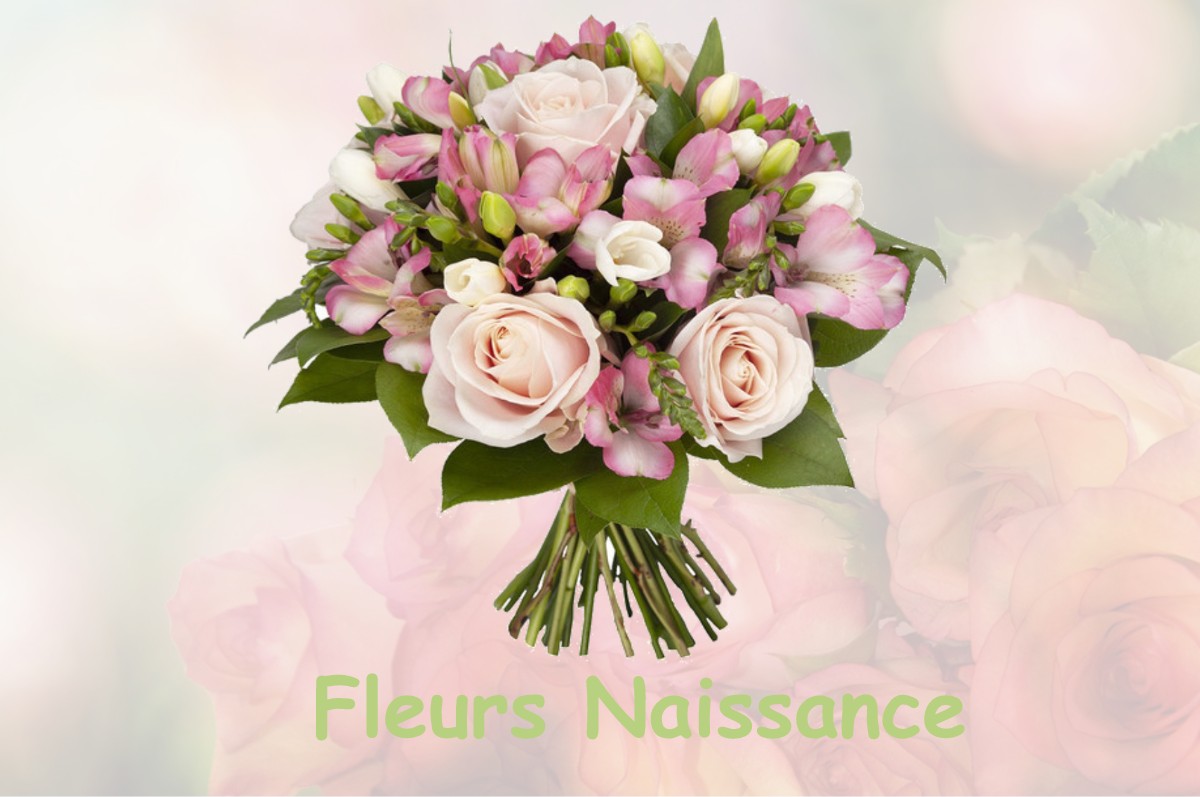 fleurs naissance LE-MESNIL-SUR-OGER