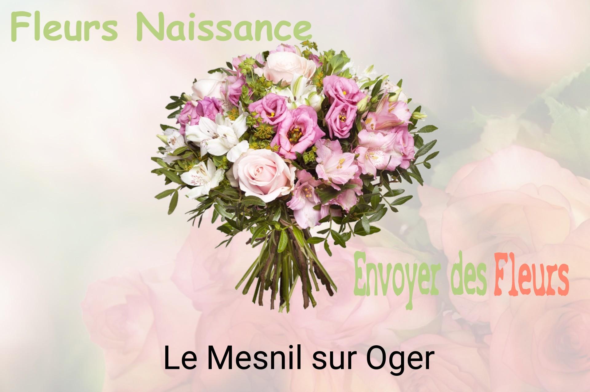 Bouquet de fleurs de naissance livré à Le Mesnil-sur-Oger